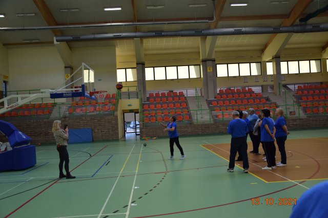 senio 19
